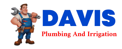 Trusted plumber in SARAGOSA